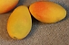 Fairy Food Mango