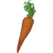 Under the Nile Carrot